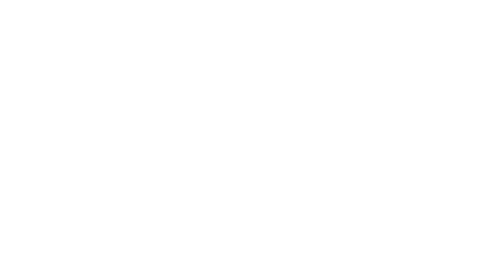 Norwegian Cruise Lines Logo