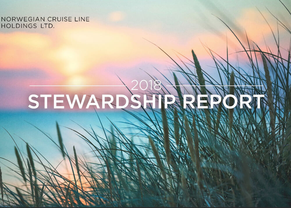Norwegian Cruiseline Financial Stewardship Report